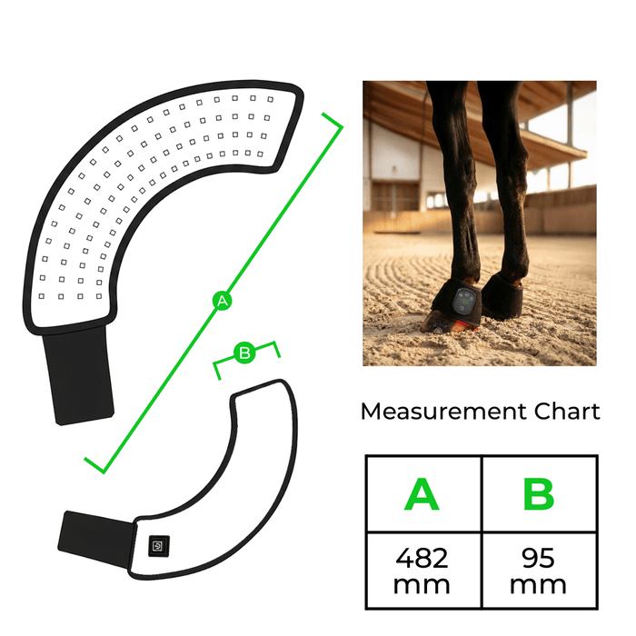 HaloLegs | Mini LED Red Light Therapy Leg Wrap for Horses