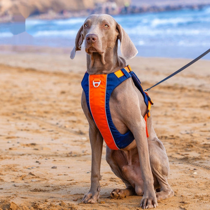 Hand Rope with Vest-Style Pet Chest Strap