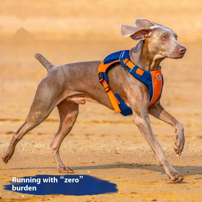 Hand Rope with Vest-Style Pet Chest Strap
