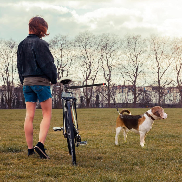 Hands-Free Bike Dog Tow Leash | Secure Bicycle Running Attachment for Dogs