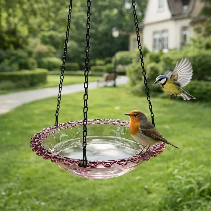 Hanging Bird Bath & Bird Feeder Bowl for Garden – Outdoor Bird Feeder with Chain