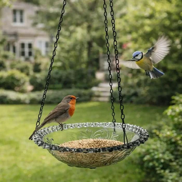 Hanging Bird Bath & Bird Feeder Bowl for Garden – Outdoor Bird Feeder with Chain