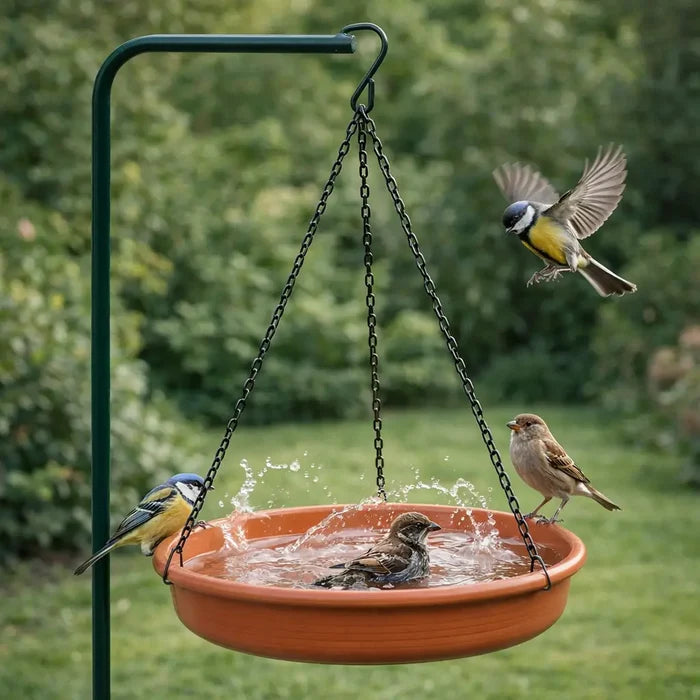 Hanging Bird Feeding Station – Bird Feeder Tray & Bird Bath for Garden
