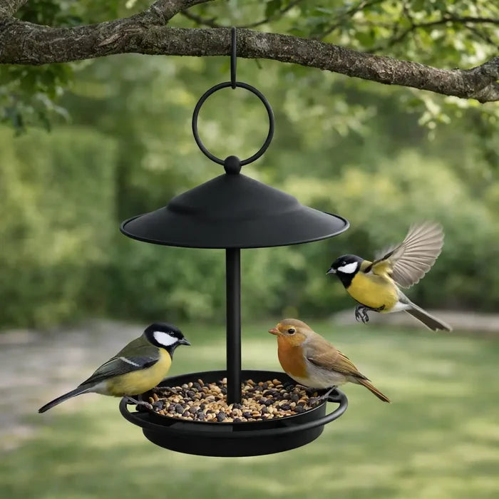 Hanging Stainless Steel Bird Feeder & Bird Bath – Outdoor Bird Feeding Station