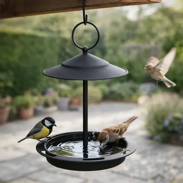 Hanging Stainless Steel Bird Feeder & Bird Bath – Outdoor Bird Feeding Station