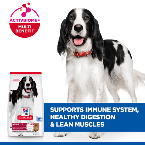 Hill's Science Plan Adult Lamb Medium Breed Dry Dog Food