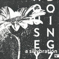 Housey Doingz-A Sillybration II  [2xLP]