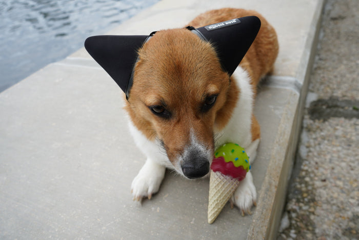 Ice Cream Cone | Dog Squeak Toy – Crinkle Play Fun