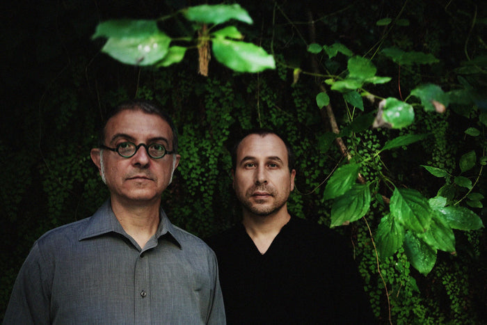 II by Voices From The Lake  [2XLP]