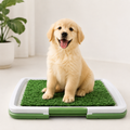 Indoor Dog Toilet with Artificial Turf | Reusable Puppy Potty Training Tray