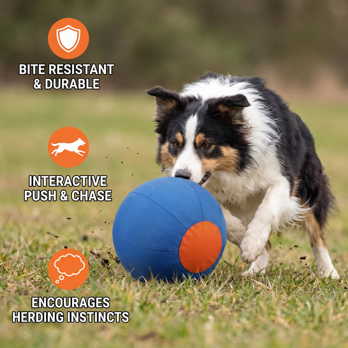 Inflatable Herding Ball for Dogs | Bite-Resistant Push & Chase Exercise Toy