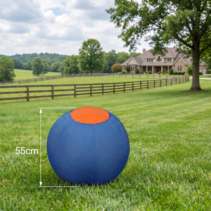 Inflatable Herding Ball for Dogs | Bite-Resistant Push & Chase Exercise Toy
