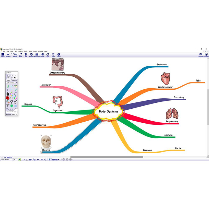 Inspiration 12 for Windows Single User Licence - Mind Mapping Software