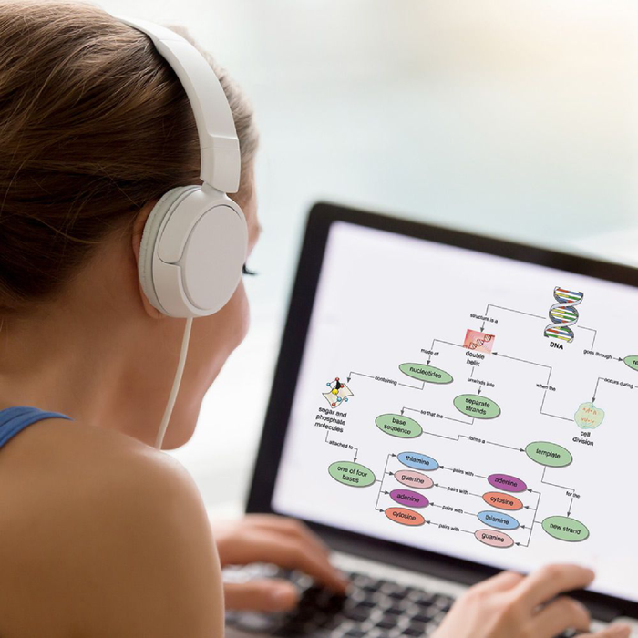 Inspiration 12 for Windows Single User Licence - Mind Mapping Software
