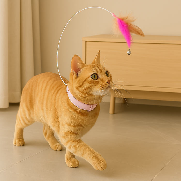 Interactive Cat Collar Toy | Feather & Bell Design for Hunting Instinct & Stress Relief