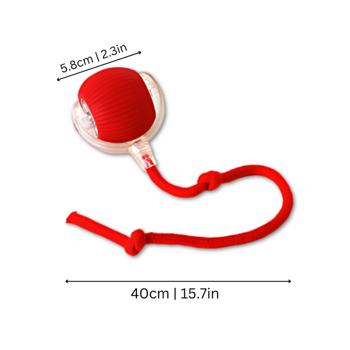 Interactive Cat Toy for Indoor Cats – Automatic Chase & Play Entertainment