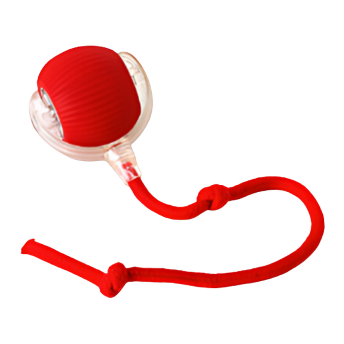 Interactive Cat Toy for Indoor Cats – Automatic Chase & Play Entertainment
