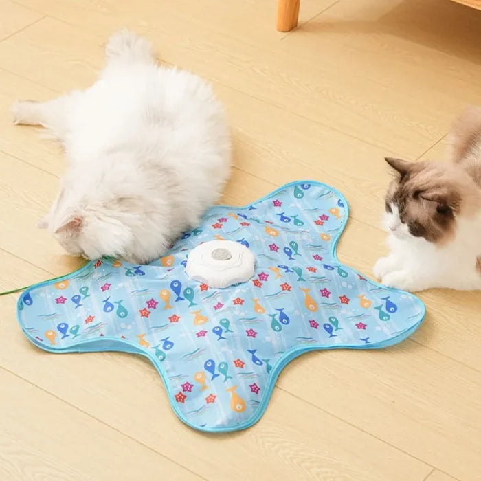 Interactive Cat Toy with Moving Mouse – Motion Activated Hide & Seek Feather Toy