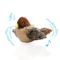 Interactive Chirping Bird Toy for Cats | USB Rechargeable Moving Cat Toy