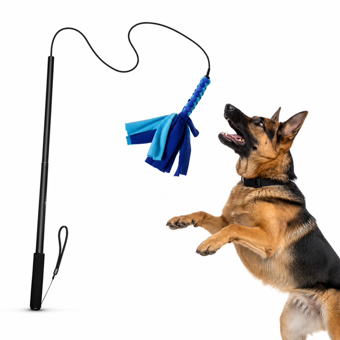 Interactive Dog Flirt Pole with Bungee Tug Toy | Training & Exercise Wand