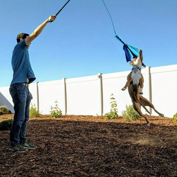 Interactive Dog Flirt Pole with Bungee Tug Toy | Training & Exercise Wand