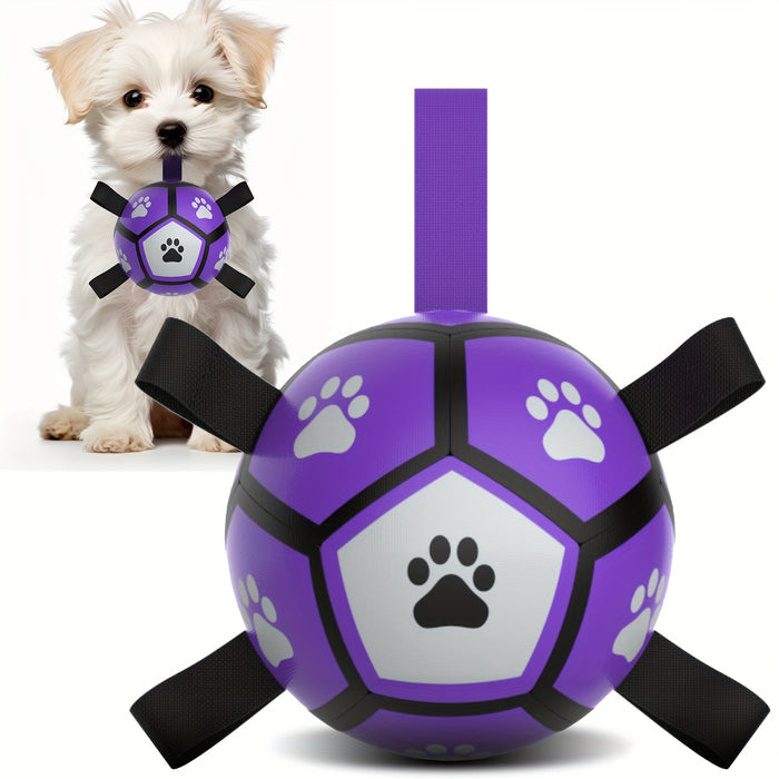 Purple / Small