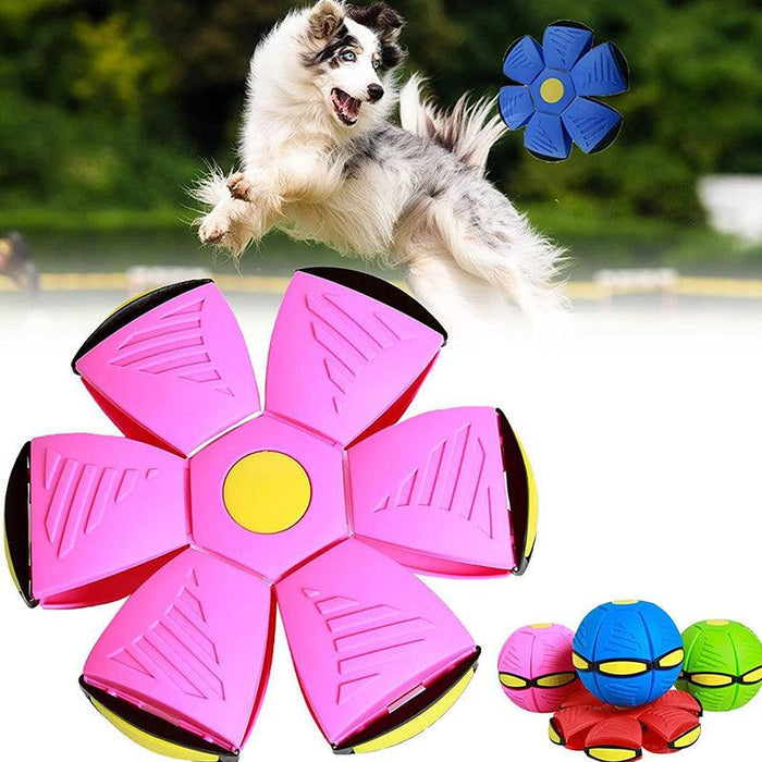 Interactive Dog Toy Ball – Flying Saucer Pet Toy for Dogs | Outdoor Summer Play Toy
