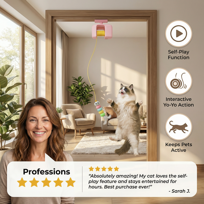 Interactive Door Yo-Yo Cat Toy – Self-Play Teaser for Indoor Cats