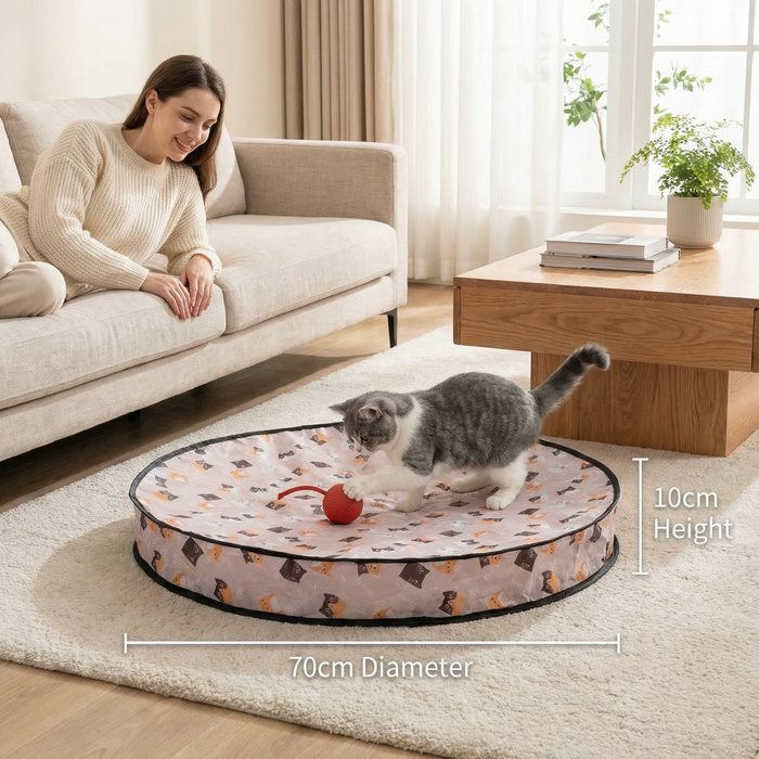 Interactive Hide & Seek Cat Toy – Indoor Play Mat for Cats