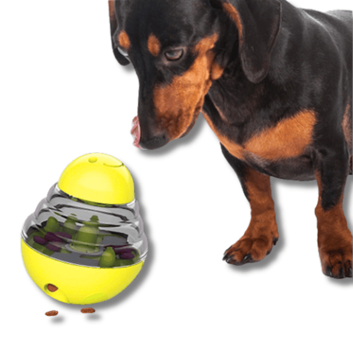 Interactive IQ Treat Puzzle Toy for Dogs – Slow Feeder & Mental Stimulation