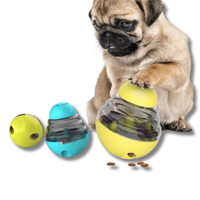 Interactive IQ Treat Puzzle Toy for Dogs – Slow Feeder & Mental Stimulation