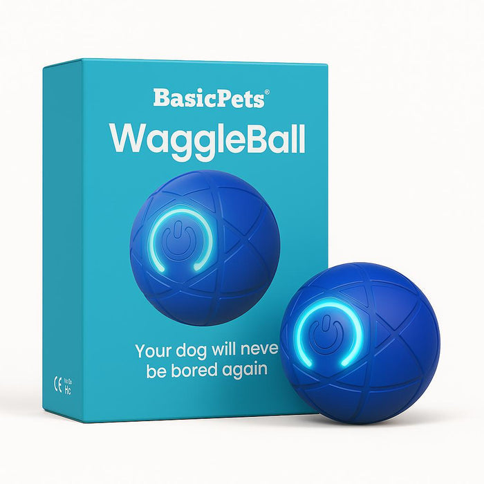 Interactive Jumping & Glowing Pet Ball | Motion Toy for Dogs and Cats