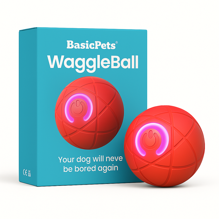 Interactive Jumping & Glowing Pet Ball | Motion Toy for Dogs and Cats