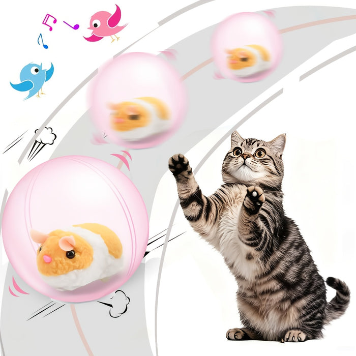 Interactive Motion-Activated Cat Toy Ball – Rechargeable Rolling Pet Toy