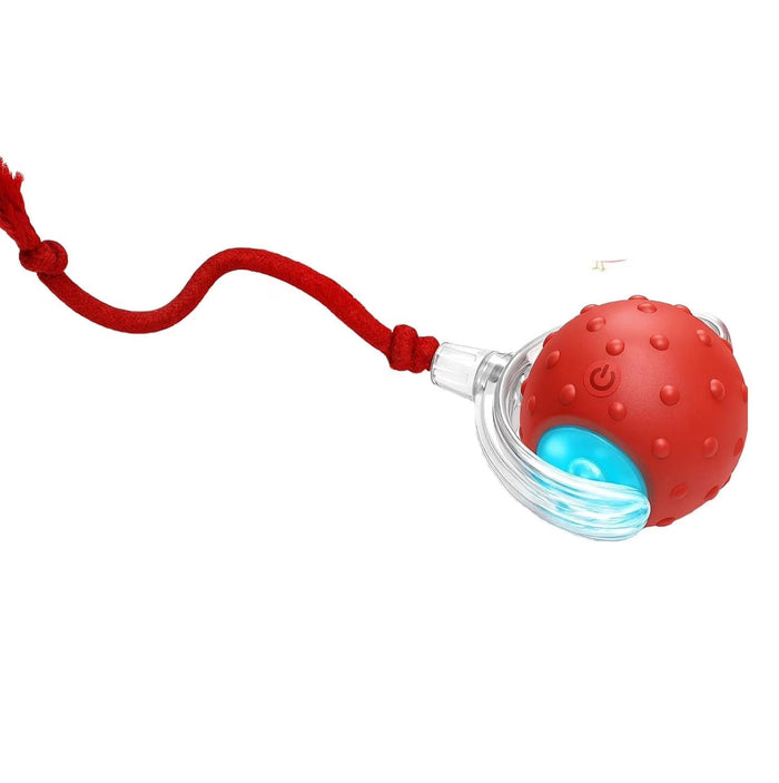 Interactive Motion Dog Toy – Self-Rolling Ball for Engaging Play and Exercise