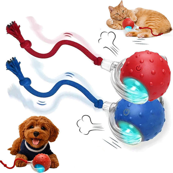 Interactive Motion Dog Toy – Self-Rolling Ball for Engaging Play and Exercise