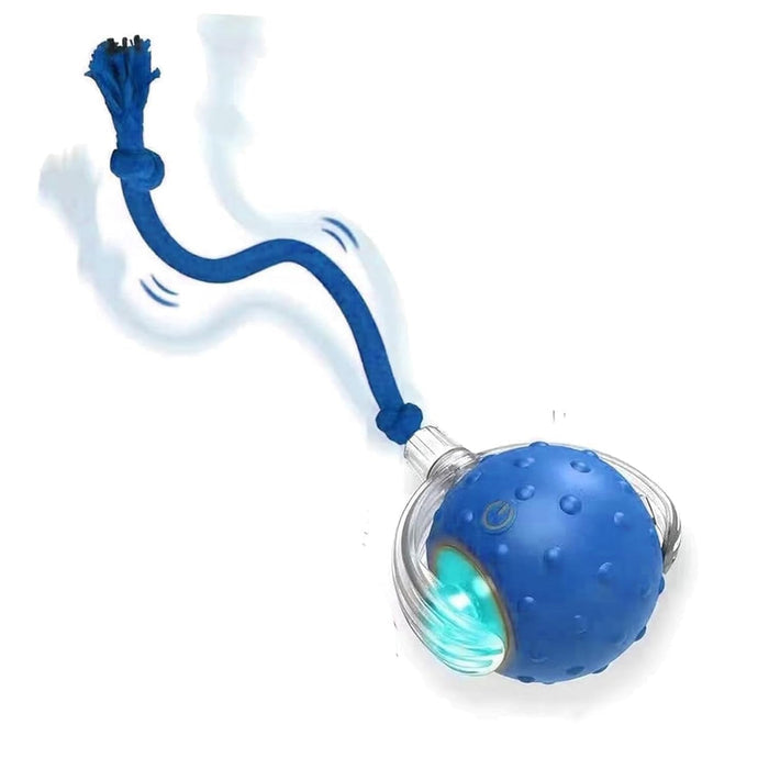 Interactive Motion Dog Toy – Self-Rolling Ball for Engaging Play and Exercise