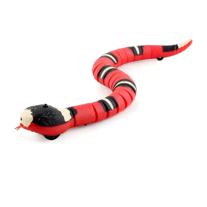 Interactive Moving Snake Toy for Cats | Realistic Motion & Smart Obstacle Avoidance