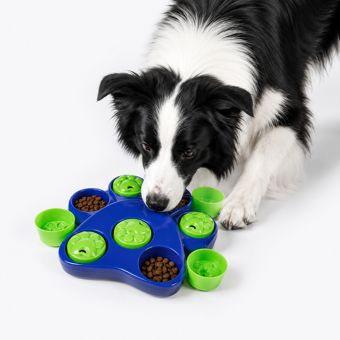 Interactive Paw Puzzle Slow Feeder Bowl for Dogs & Cats | IQ Food Toy