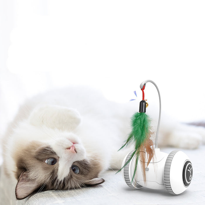 Interactive Pet Toy with Interchangeable Feather Heads