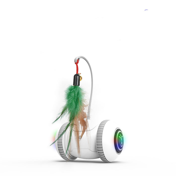Interactive Pet Toy with Interchangeable Feather Heads