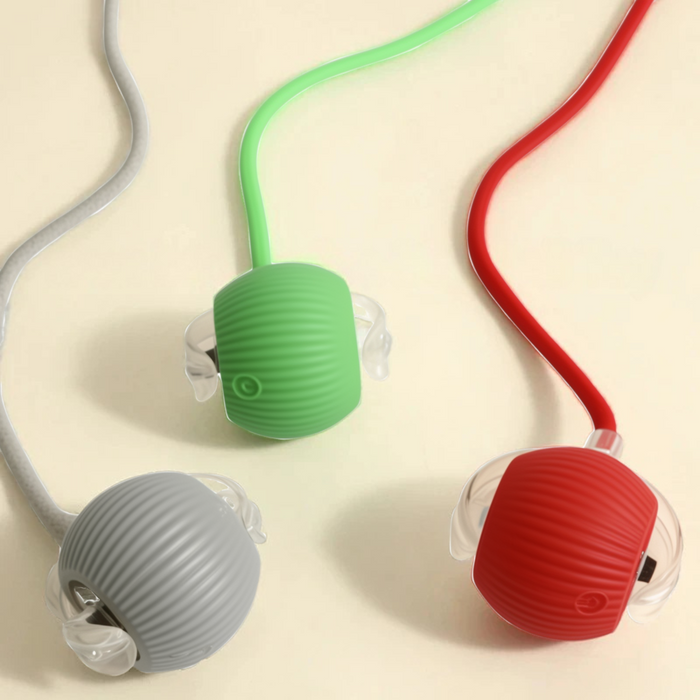 Interactive Smart Dog Toy | Self-Moving Play Ball with Rope