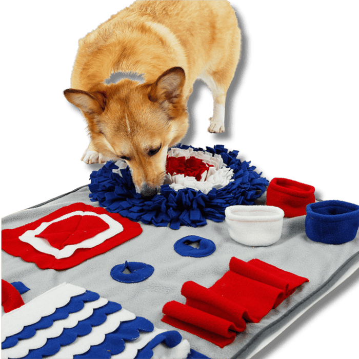 Interactive Snuffle Mat for Dogs – Slow Feeder Nose Work Puzzle Toy