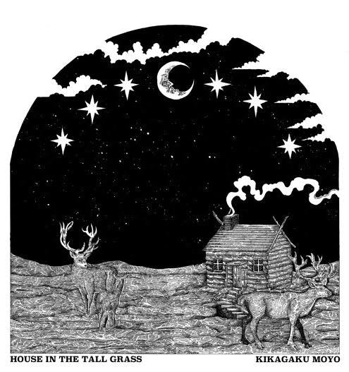 Kikagaku Moyo - House In The Tall Grass,Vinyl,Fuzz Club - Fuzz Club