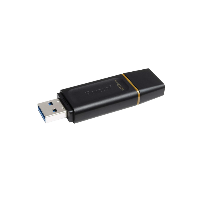Kingston Technology DataTraveler 1