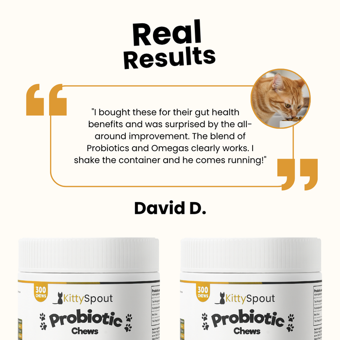 KittySpout Probiotic Chews - 30 Day Supply