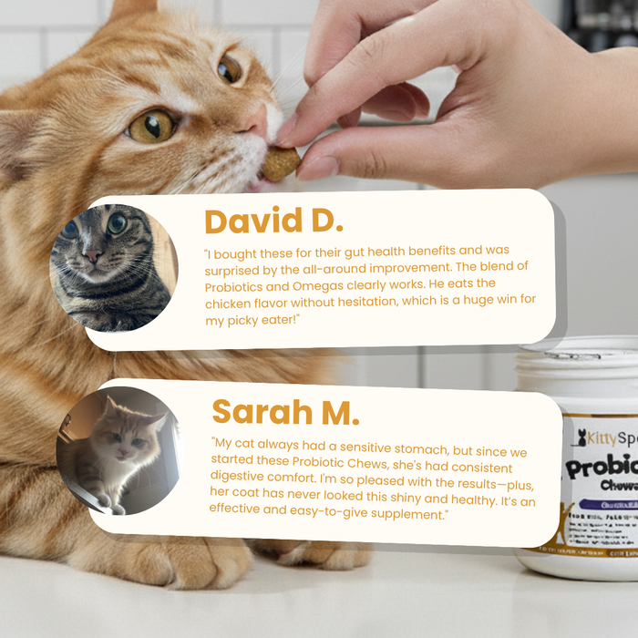 KittySpout Probiotic Chews - 30 Day Supply