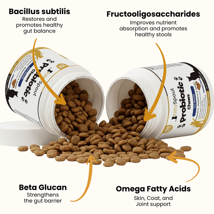 KittySpout Probiotic Chews - 90 Day Supply