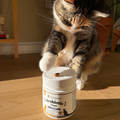 KittyTreats⁺ — Healthy Cat Treats