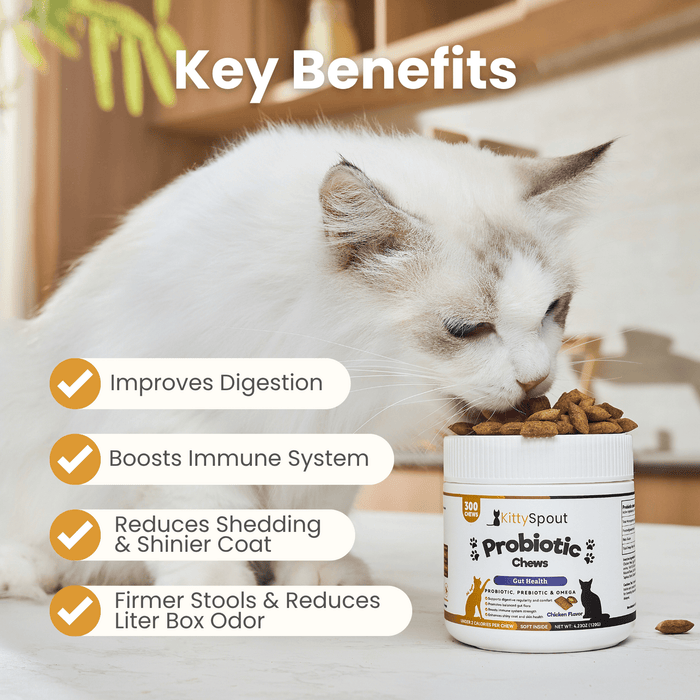 KittyTreats⁺ — Healthy Cat Treats